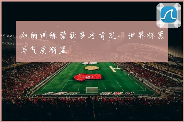 加纳训练营获多方肯定，世界杯黑马气质渐显