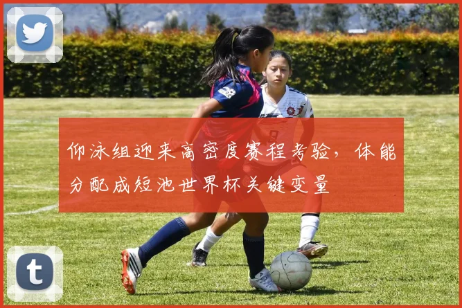 仰泳组迎来高密度赛程考验，体能分配成短池世界杯关键变量
