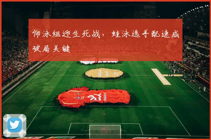 仰泳组迎生死战，蛙泳选手配速成破局关键