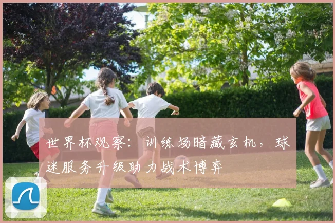 世界杯观察：训练场暗藏玄机，球迷服务升级助力战术博弈